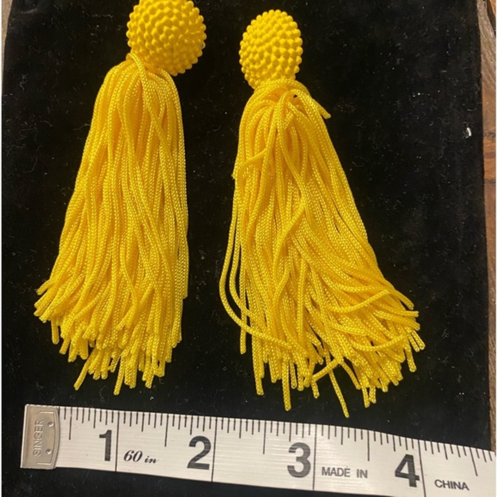 Fun tassel earrings!!NWOT- never worn- brand NEW😃😃 not heavy at all!